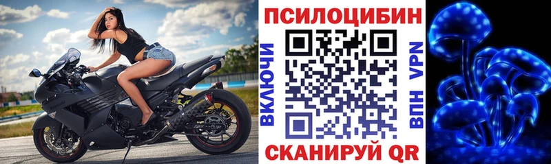 дарнет шоп  Волгодонск  Галлюциногенные грибы прущие грибы 